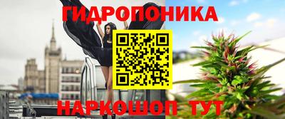 спиды Будённовск