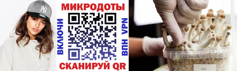 hydra рабочий сайт  наркошоп  Владивосток  Галлюциногенные грибы прущие грибы 
