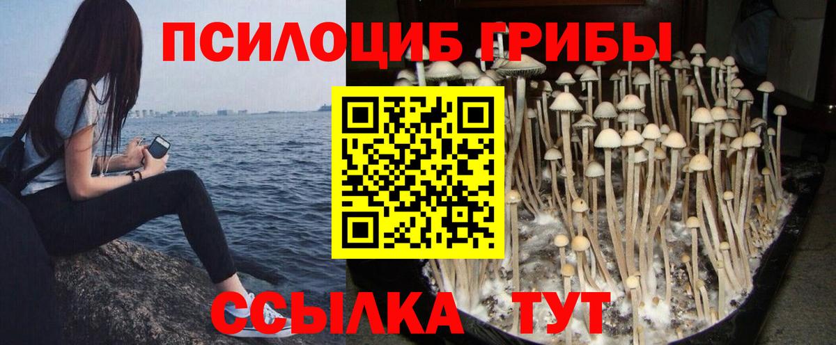 Галлюциногенные грибы Magic Shrooms Владивосток