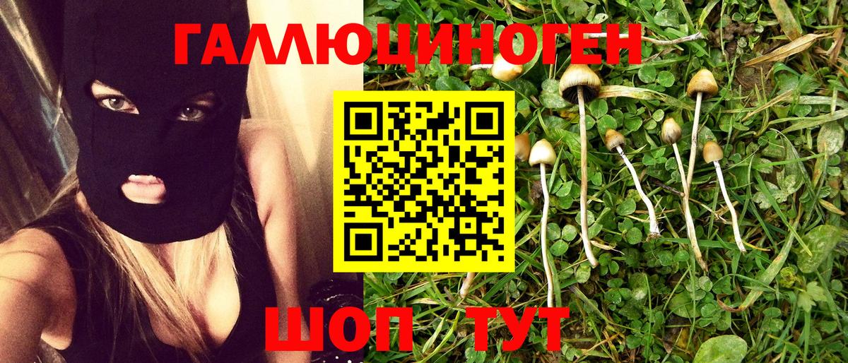 Владивосток  Псилоцибиновые грибы Magic Shrooms  Вход с VPN 